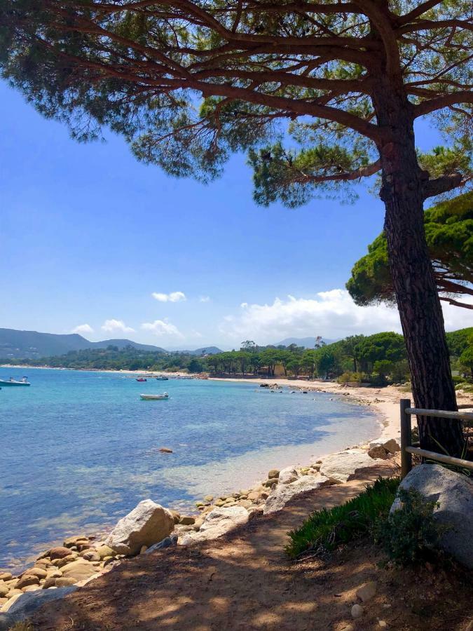 Marina Di Pinarello, Appt Climatise A 400M De La Plage Дзондза Экстерьер фото